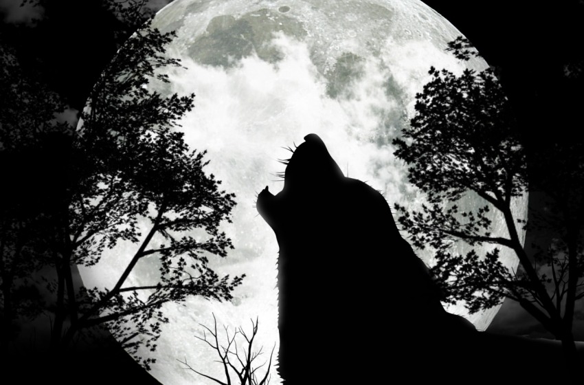 Investito e ucciso sull'A25