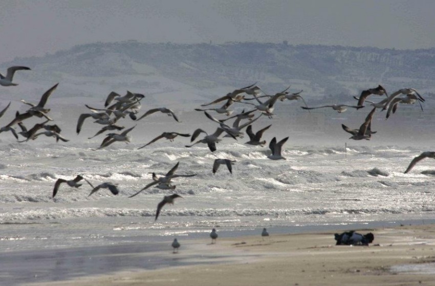 Allarme maltempo sulla costa