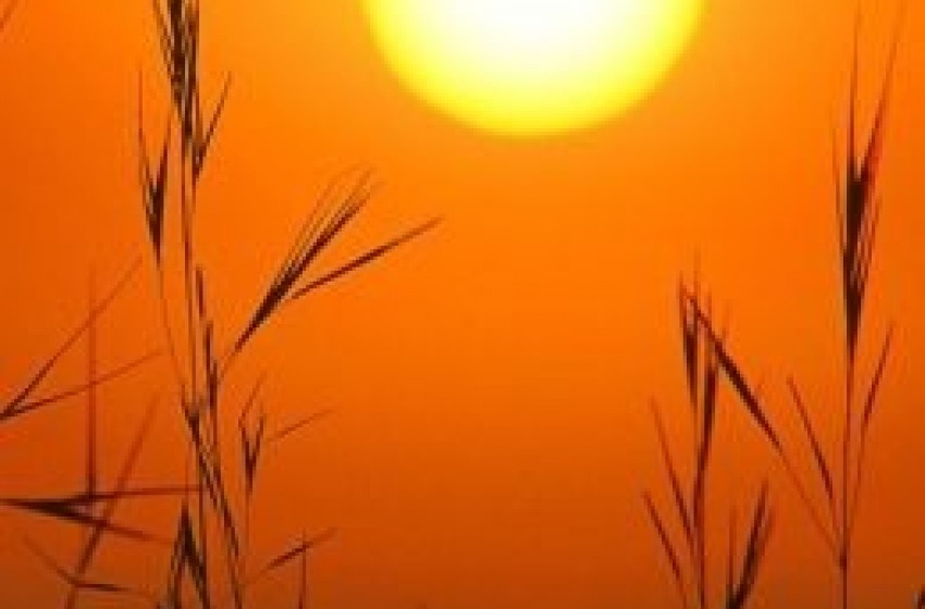 Allarme Caronte. Lunedì 41°