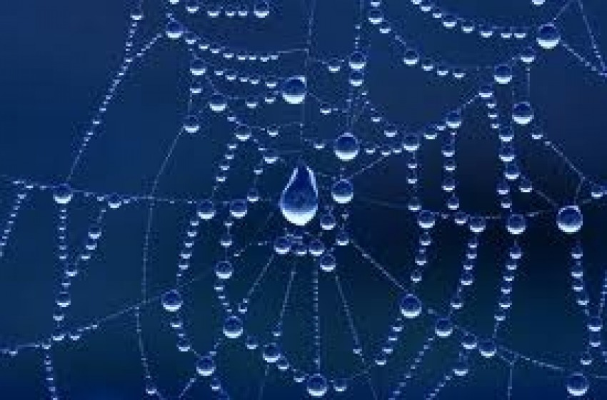 Filamenti “misteriosi” dal cielo avvistati in Abruzzo