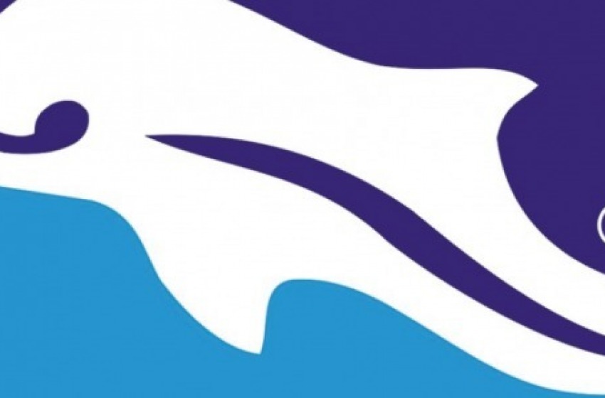 Delfino, a Novara servono punti. Maniero fuori dagli 11