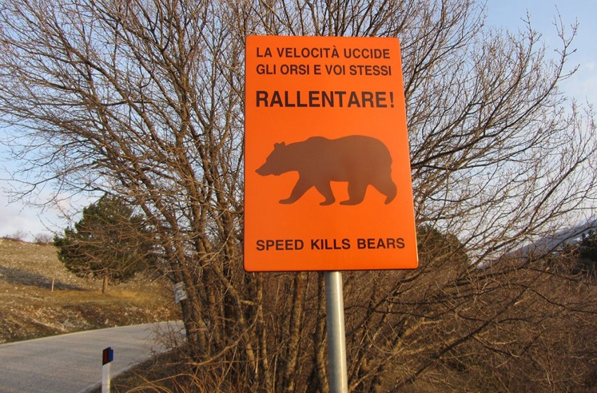 Cartelli "Salva Orso" sulla SR83 tra Gioia dei Marsi e Gioia Vecchio