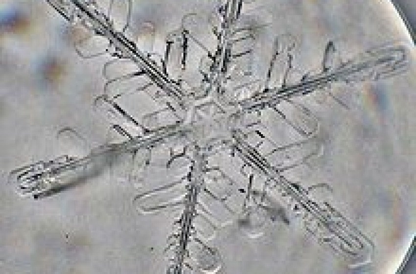 Due milioni sciolti nella neve