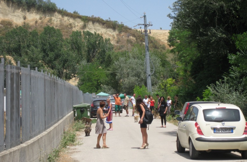 Gi&ugrave; le mani da quei cani!