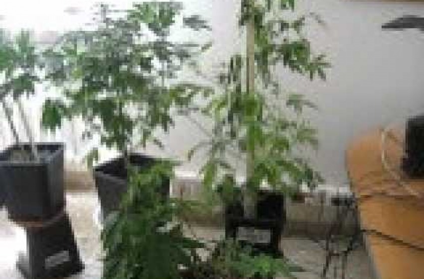 Writer pugliesi con la "Maria"