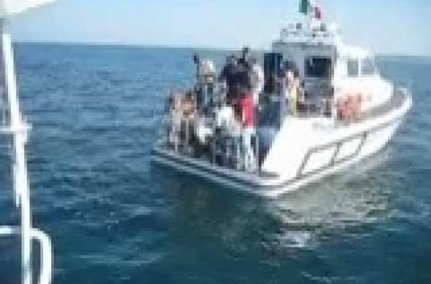 Stella e Luna tornano a casa