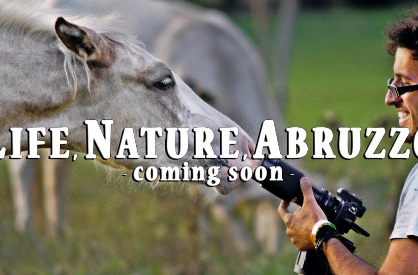 Life, Nature, Abruzzo