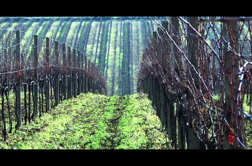 Postcard (Loreto Aprutino)